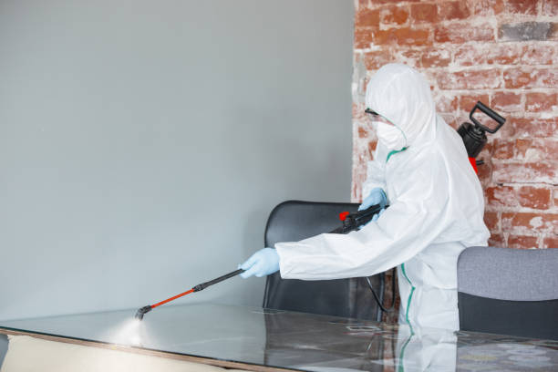 Best Mold Odor Removal Services in Emigsville, PA